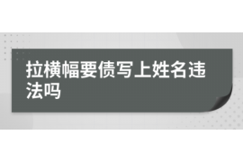 蒸湘为什么选择专业追讨公司来处理您的债务纠纷？